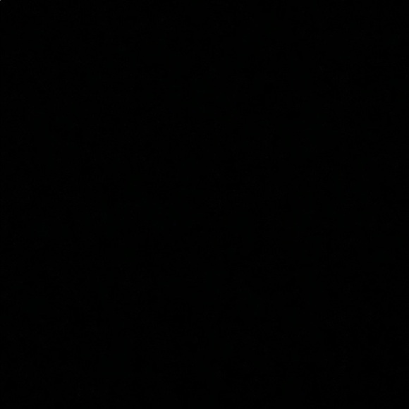 Meet your Posher, Bella - Picture 1 of 1